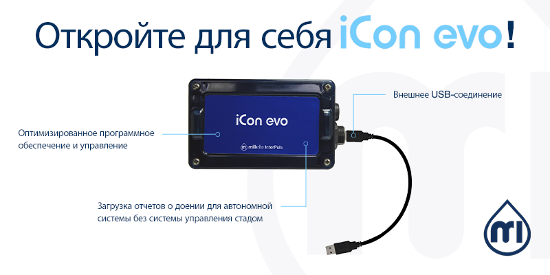 Icon Evo   RUS